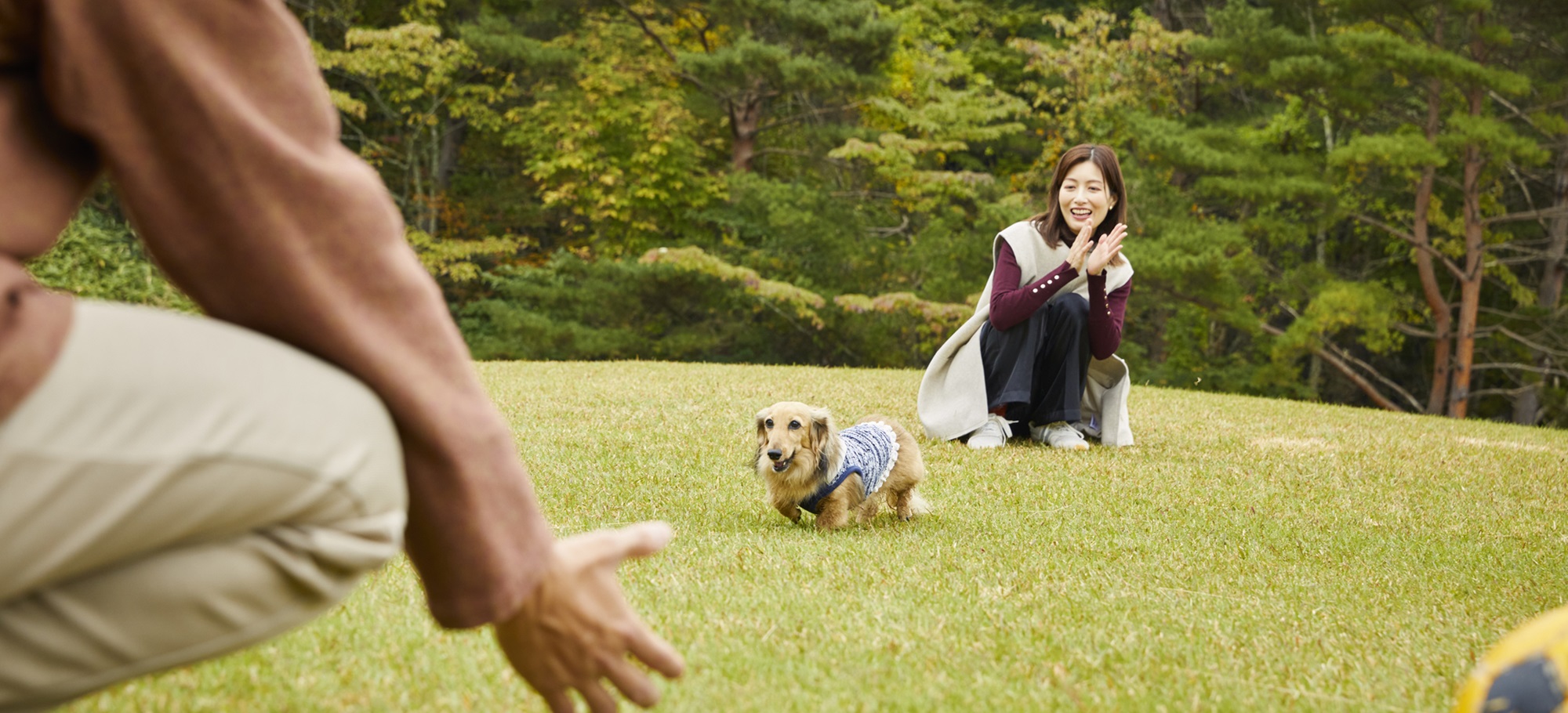 グラスガーデンを走るワンちゃん